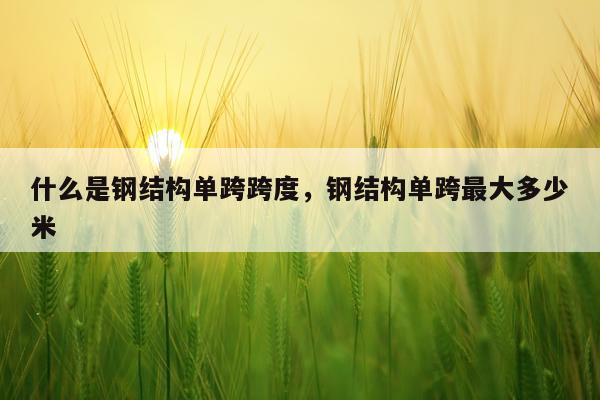 什么是钢结构单跨跨度，钢结构单跨最大多少米