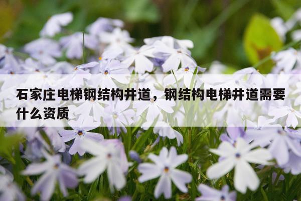 石家庄电梯钢结构井道，钢结构电梯井道需要什么资质