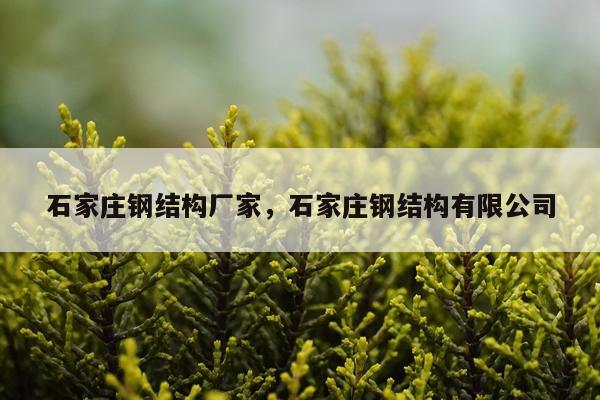 石家庄钢结构厂家，石家庄钢结构有限公司