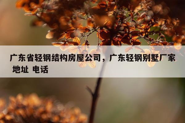 广东省轻钢结构房屋公司，广东轻钢别墅厂家 地址 电话