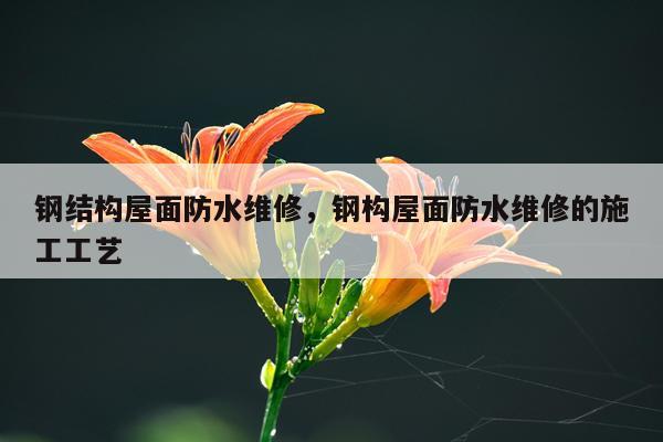 钢结构屋面防水维修，钢构屋面防水维修的施工工艺