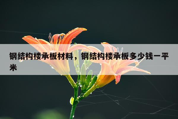 钢结构楼承板材料，钢结构楼承板多少钱一平米