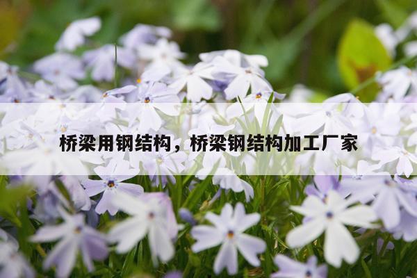 桥梁用钢结构，桥梁钢结构加工厂家