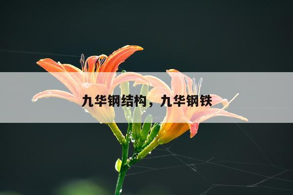 九华钢结构，九华钢铁