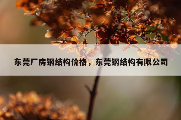 东莞厂房钢结构价格，东莞钢结构有限公司