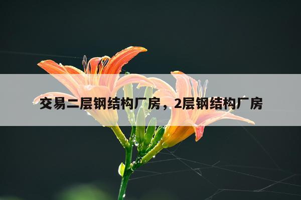 交易二层钢结构厂房，2层钢结构厂房