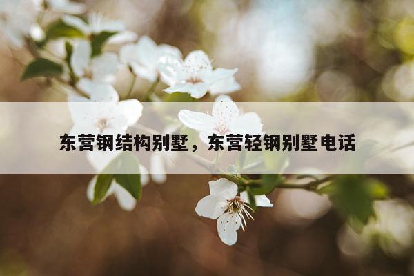 东营钢结构别墅，东营轻钢别墅电话