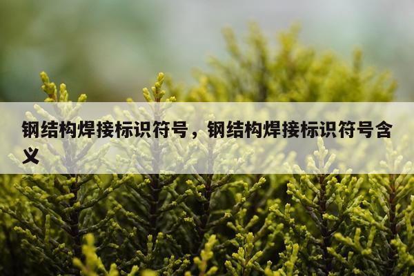 钢结构焊接标识符号，钢结构焊接标识符号含义