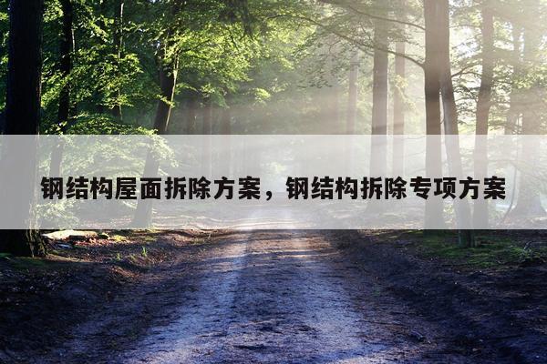 钢结构屋面拆除方案，钢结构拆除专项方案